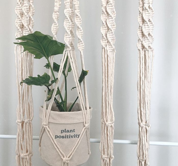 White macrame pot plant hanger
