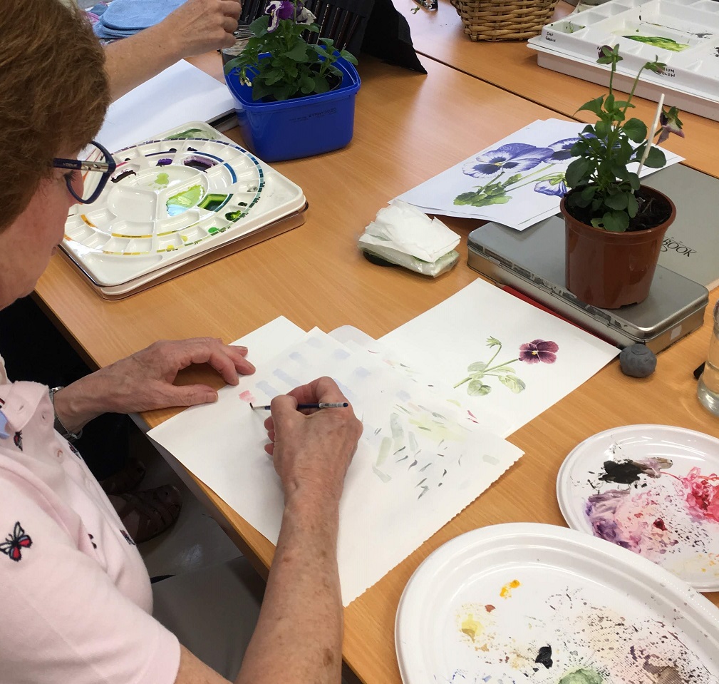 Botanical Art Terry Napier