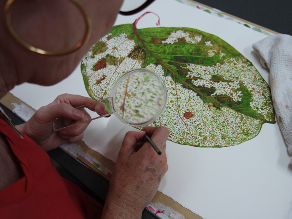 Nature in Art Peta