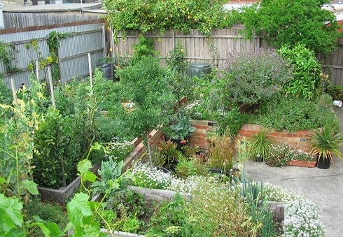 Intro to permaculture