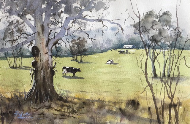 Learn Watercolour for beginners Melbourne Tony Weston