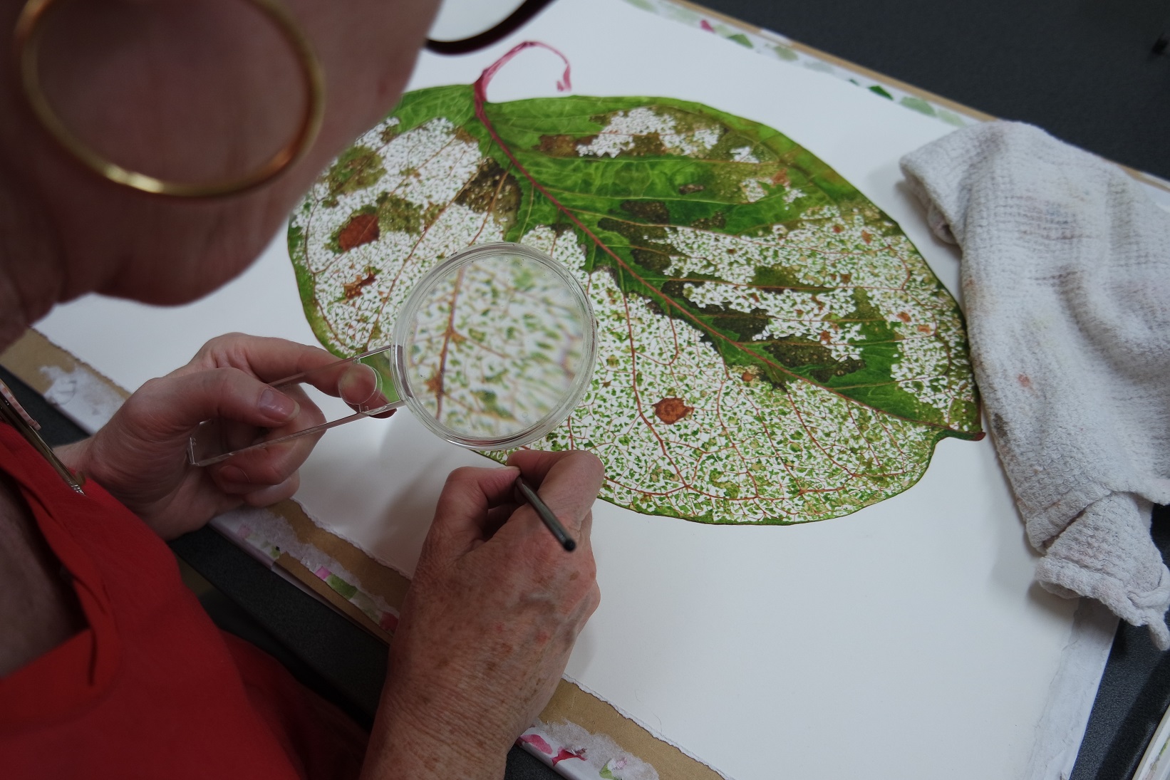 learn watercolour